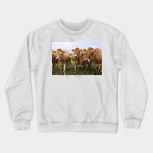 Curious Jersey Cows Crewneck Sweatshirt